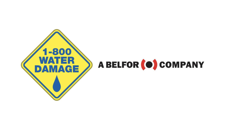 1 800 Water Damage Company Logo